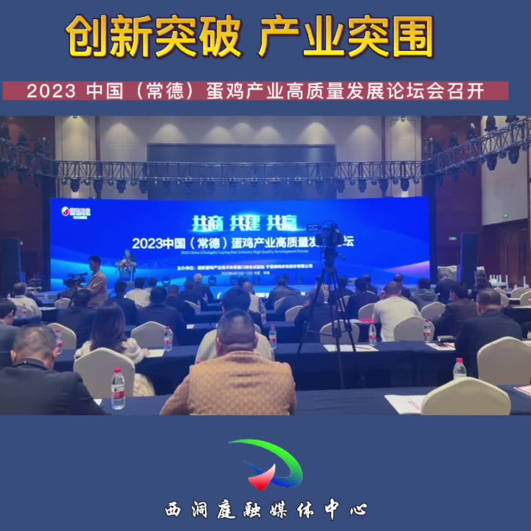 【创新突破 产业突围】2023 中国（常德）蛋鸡产业高质量发展论坛会召开